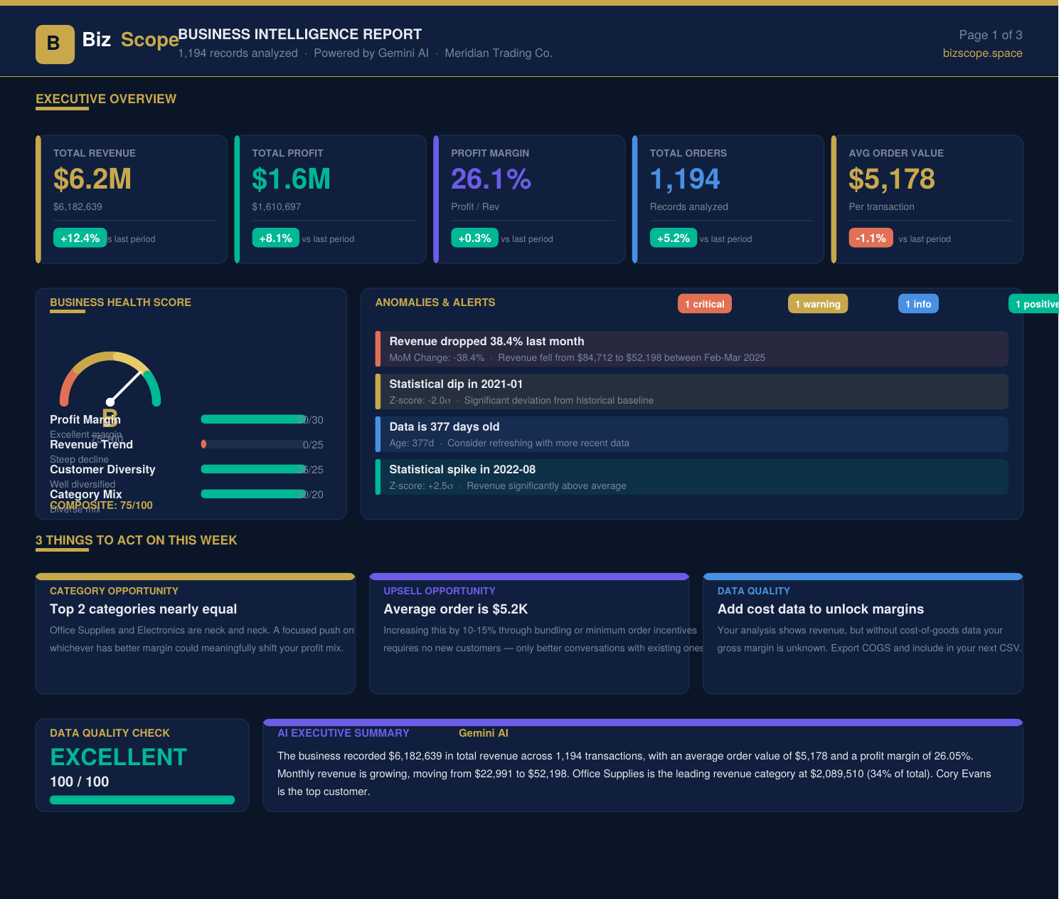 BizScope dashboard showing KPI cards, business health score, anomaly alerts, AI executive summary and action recommendations